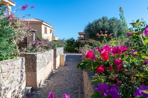 Property grounds - Alice Apartment in Golfo Aranci (Golfo Aranci)