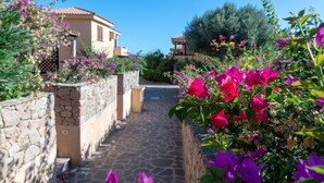 A narrow stone pathway leading to a building with a tiled roof, surrounded by lush greenery and vibrant bougainvillea flowers. - Delfino Apartment in Golfo Aranci (Golfo Aranci)