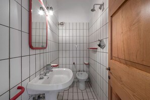 Shower, hair dryer, bidet