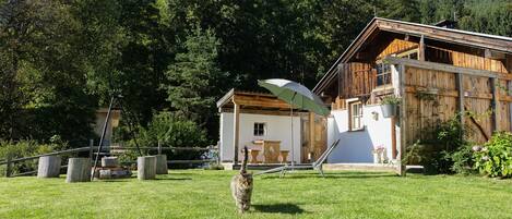 House | Terrace/patio