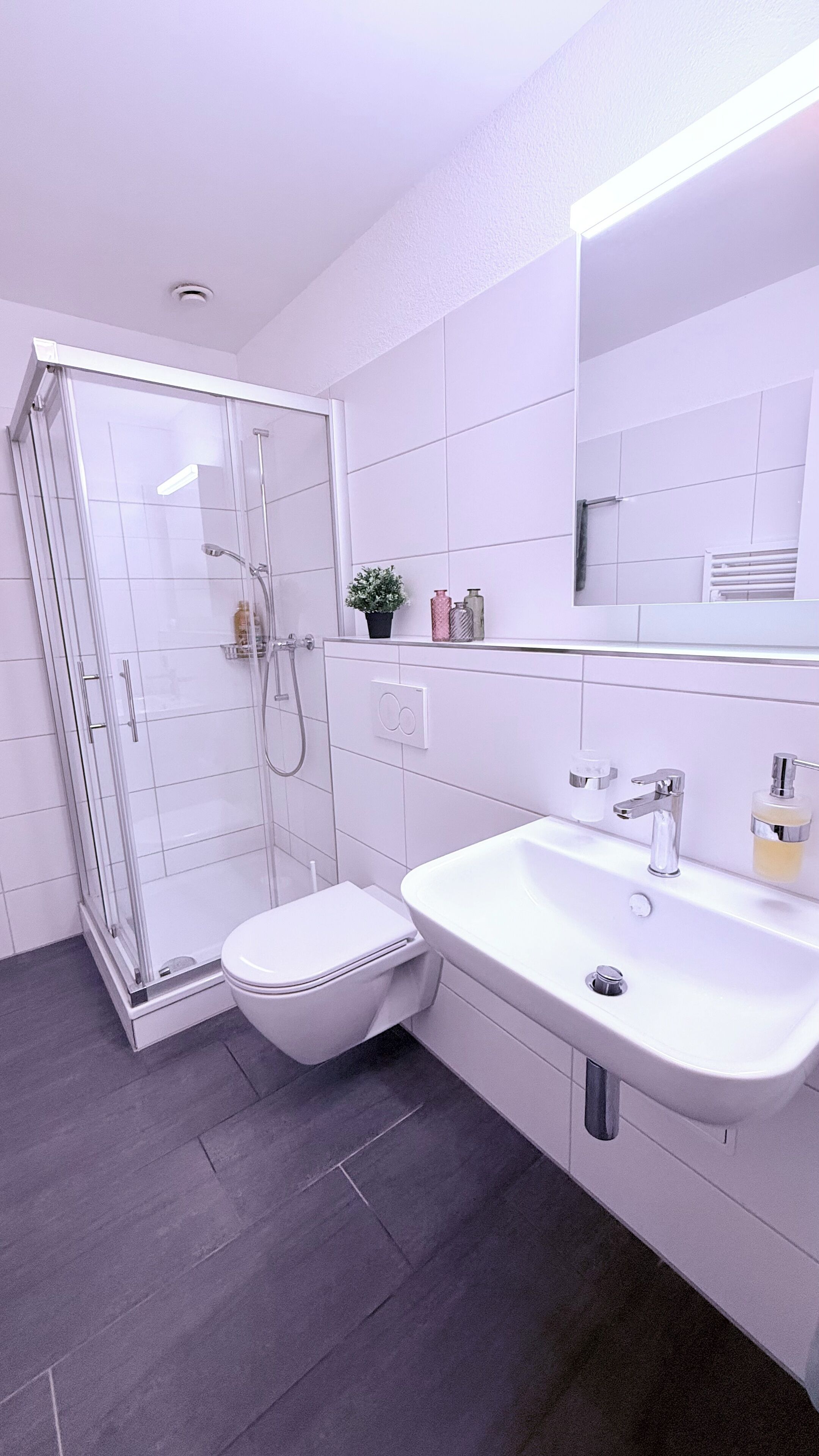 タオル、石鹸、トイレットペーパー