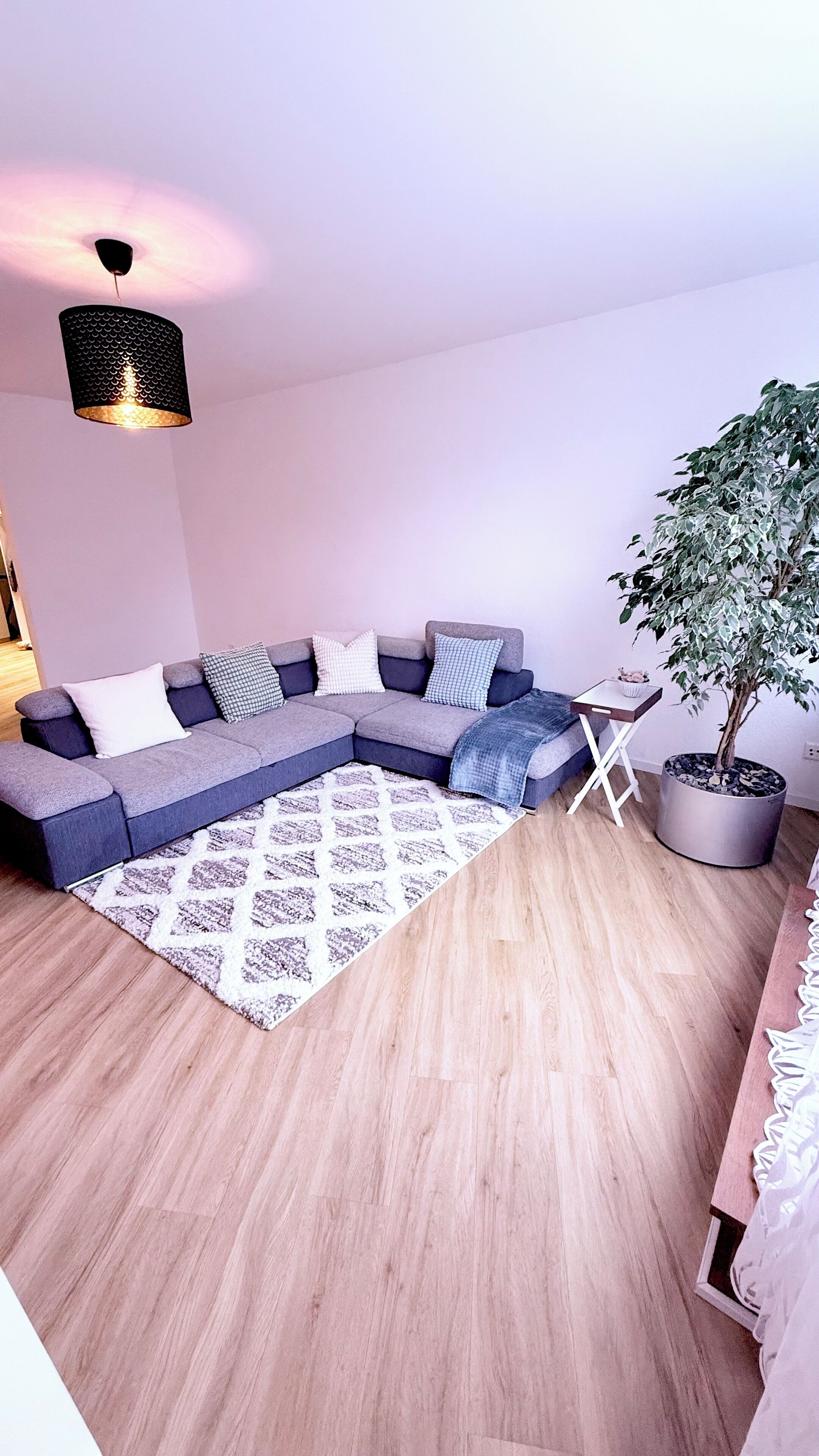 Ein modernes Wohnzimmer mit Ecksofa, einem gemusterten Teppich, einer Topfpflanze und einer Hängelampe.