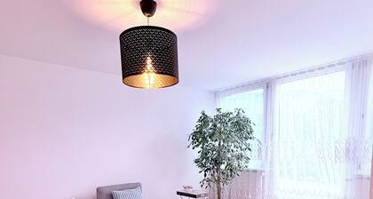 Cozy Cove, spacious apartment in Olten Switzerland near Railway station | WiFi