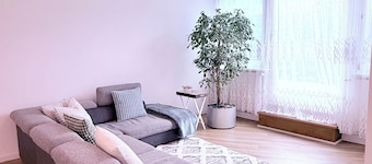 Cozy Cove, spacious apartment in Olten Switzerland near Railway station | WiFi