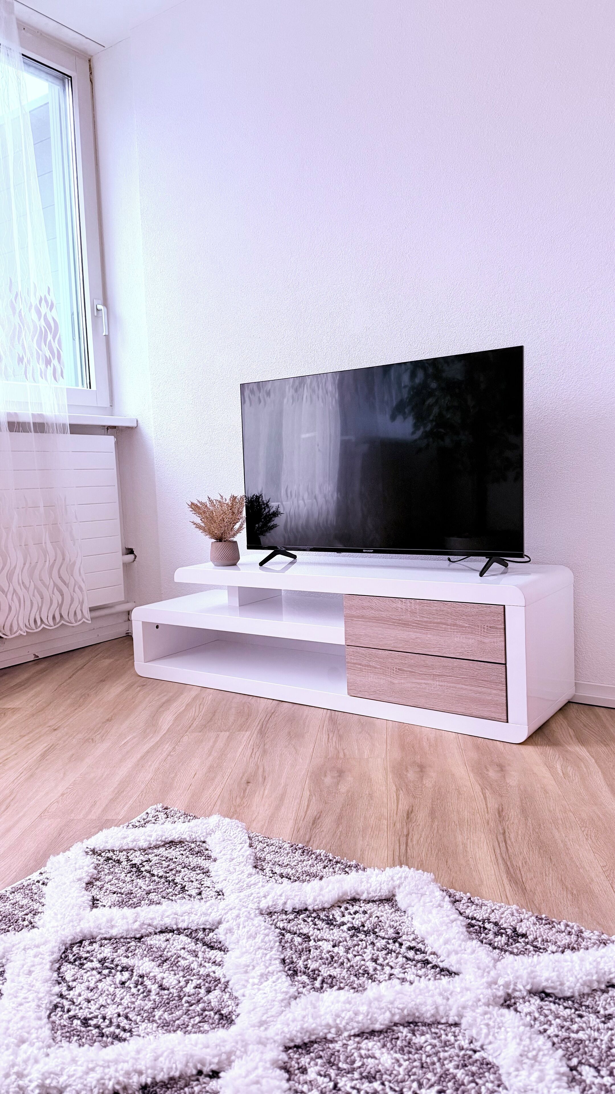 Un salon moderne avec un téléviseur à écran plat posé sur une console blanche, une plante décorative et un tapis à motifs.