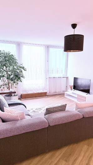 TV - Cozy Cove, spacious apartment in Olten Switzerland near Railway station | WiFi (Olten)