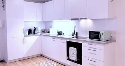 Cozy Cove, spacious apartment in Olten Switzerland near Railway station | WiFi