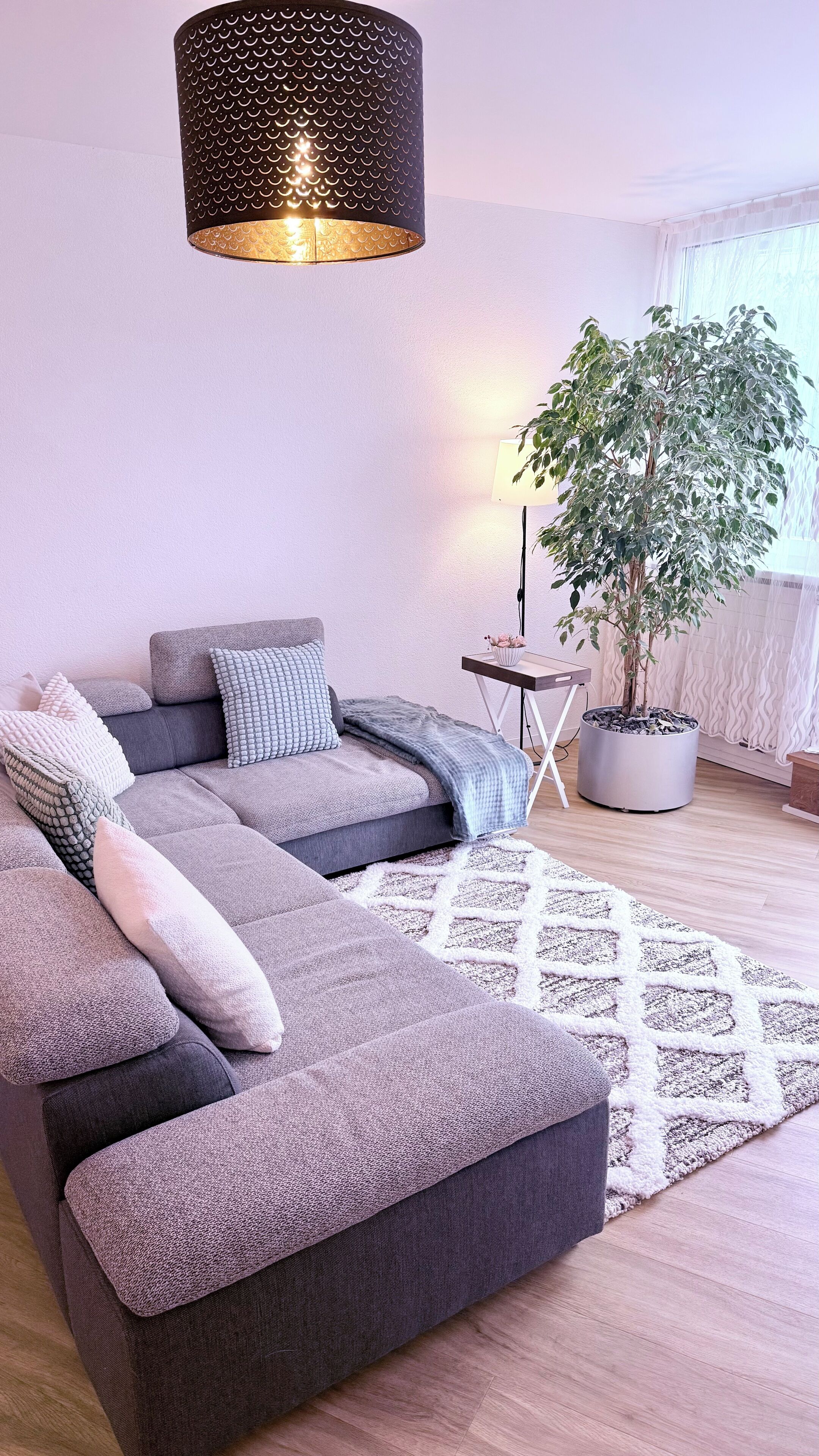 A modern living room with a sectional sofa, a small table, a potted plant, and a patterned rug.