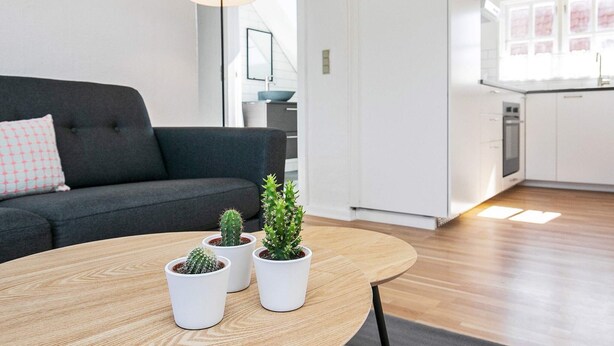 Un saló modern amb un sofà grisós fosc, una taula de centre rodona de fusta i tres cactus en testos, i un pòster de paisatge urbà a la paret.