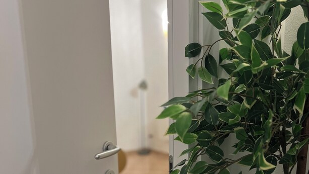 Une porte qui mène à une pièce dont le sol est recouvert de carreaux et où se trouve, sur la droite, un pot de fleurs.