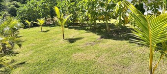 Modern 1-bedroom apt. in Saint George's, near city, stadium, beach; AC, WiFi