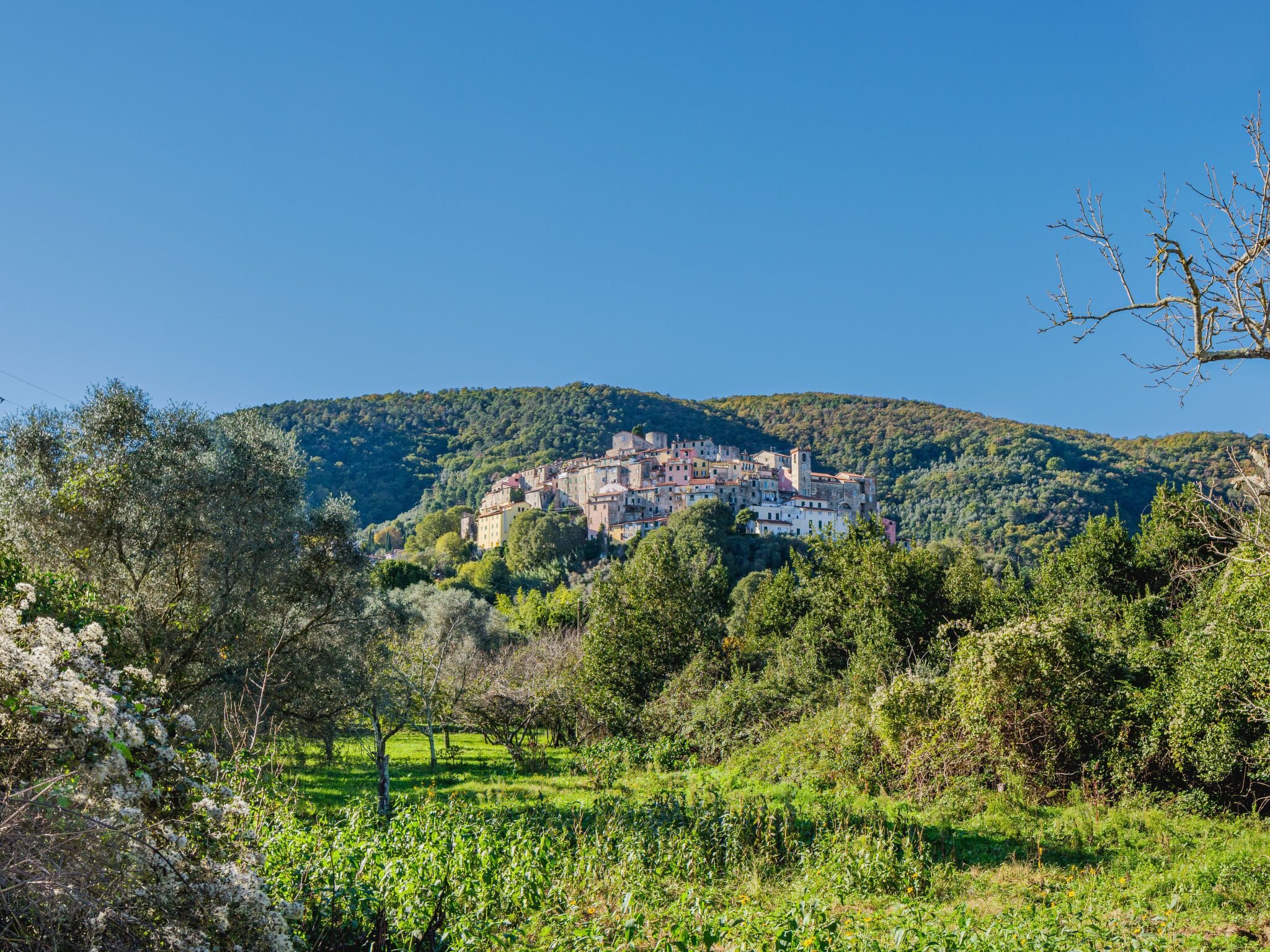 A historic town nestled in a valley with lush greenery and a clear blue sky.