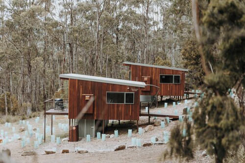 White-bellied Sea Eagle Studio