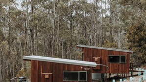Two wooden cabins with large windows, surrounded by trees and a gravel path. - Wedge-tailed Eagle Studio (Kettering)