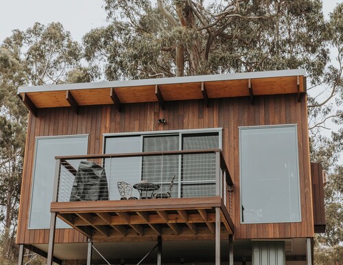 Wedge-tailed Eagle Studio
