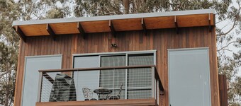 Wedge-tailed Eagle Studio