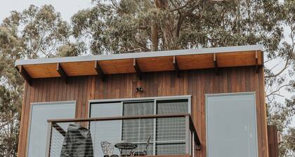 Wedge-tailed Eagle Studio