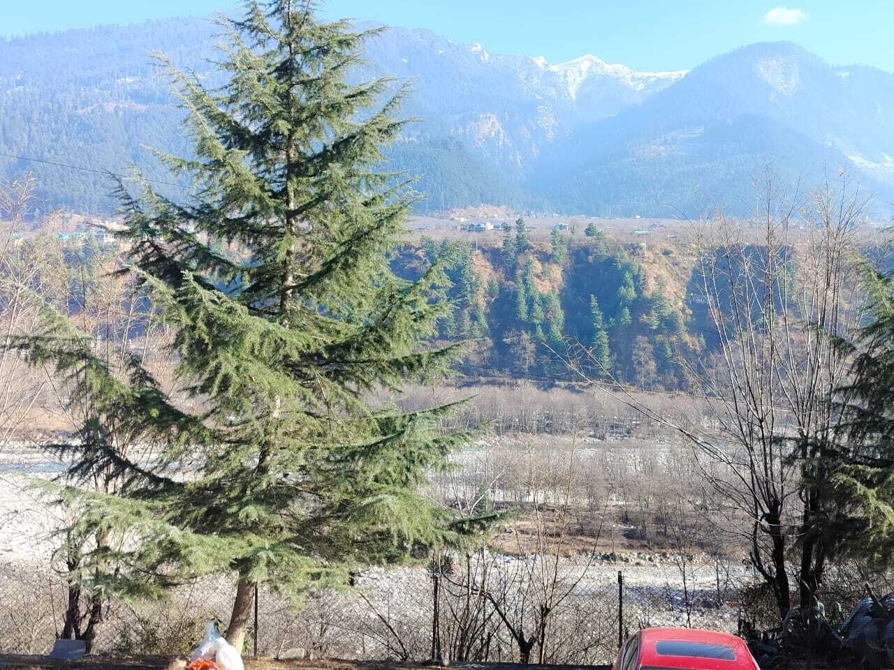 A mountainous landscape with a prominent evergreen tree in the foreground.