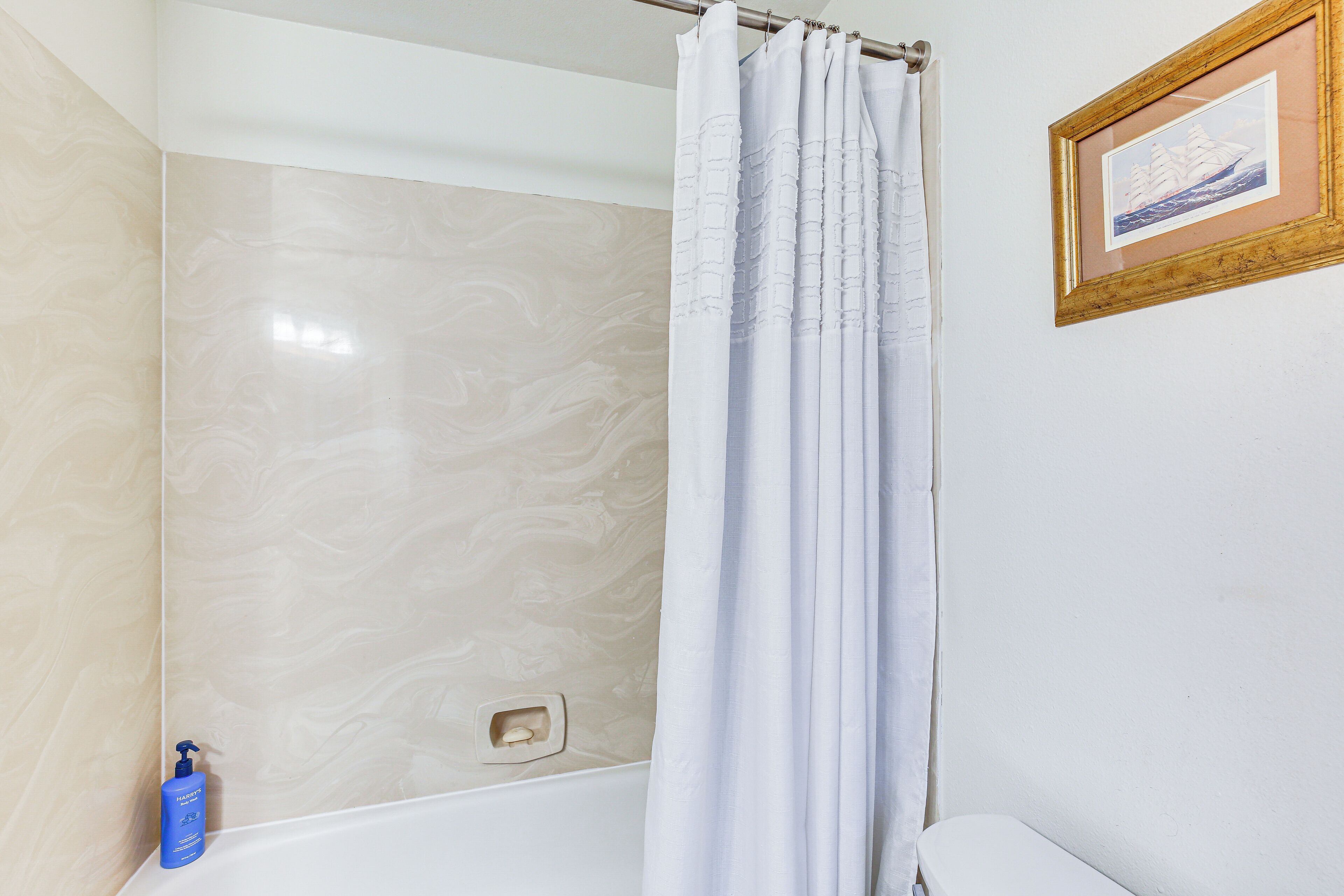 Une salle de bain avec une baignoire, un rideau de douche et un tableau encadré au mur.