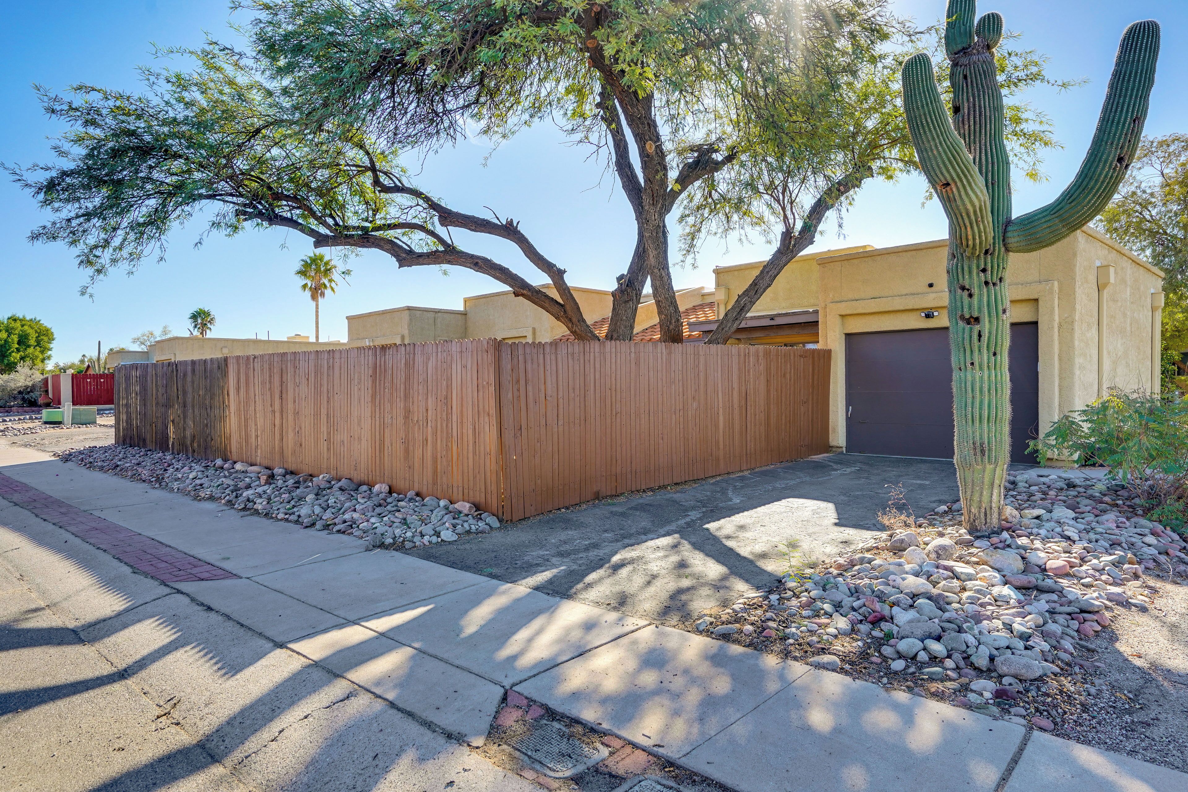 A wooden fence, a cactus, and a tree in a residential area.