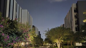 Un camino pavimentado bordeado por edificios modernos y árboles en flor, que conduce a un área con bancos.