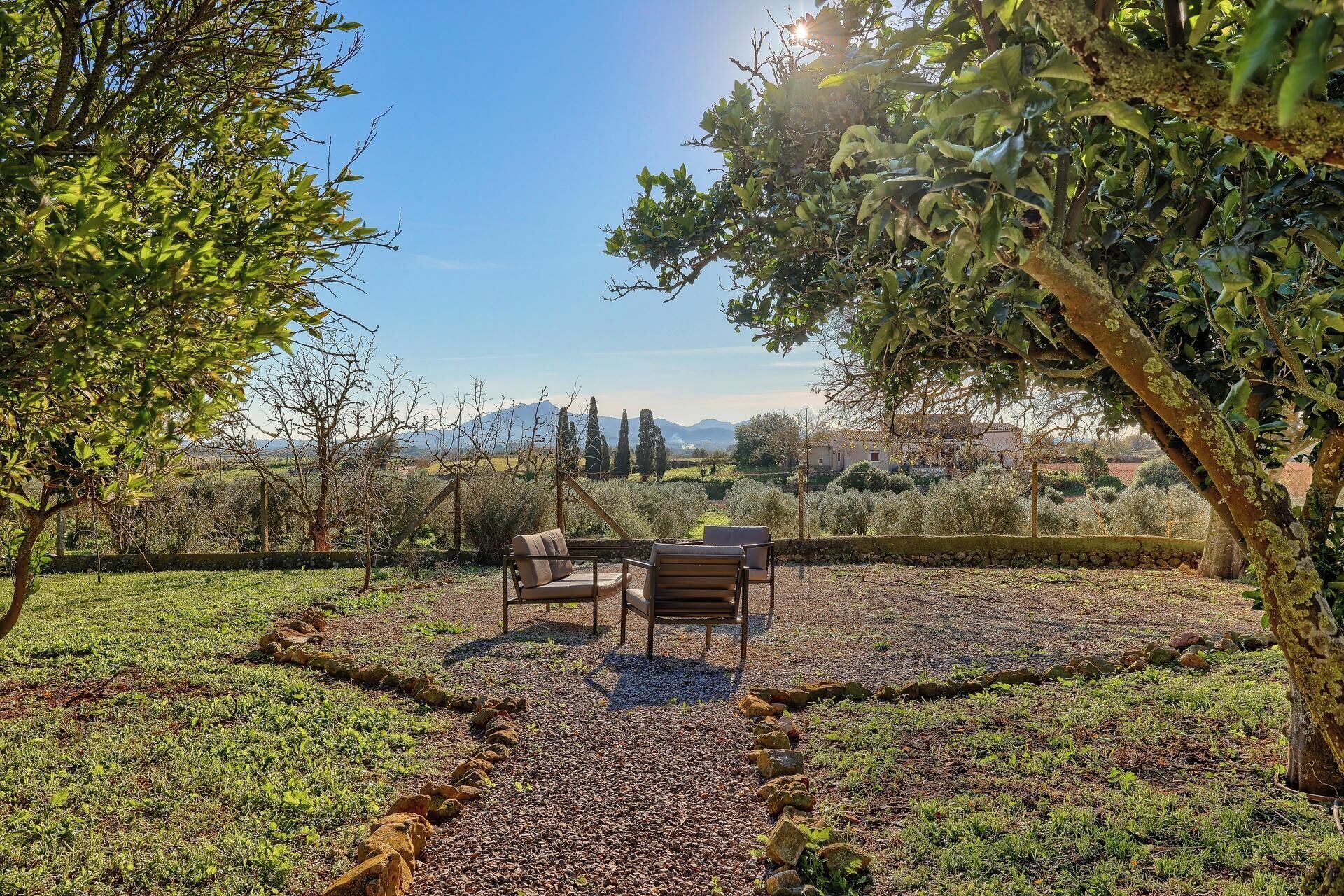 Un área de estar al aire libre con una mesa y sillas, rodeada de árboles y un sendero de grava.