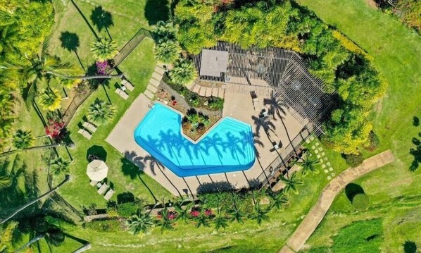Piscina | Una piscina climatizada