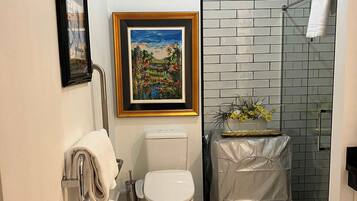 Regadera, secadora de cabello, toallas