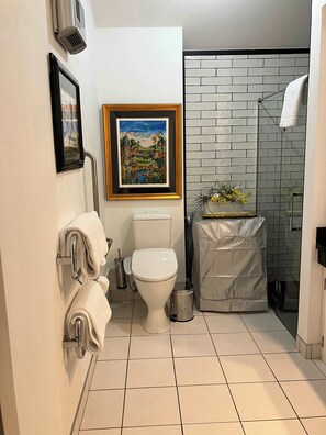 Shower, hair dryer, towels - Lakefront, Mountain Views, Stylish unit (Queenstown)