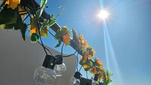 Une guirlande de lumières ornée de fleurs, le tout se détachant sur un ciel dégagé.