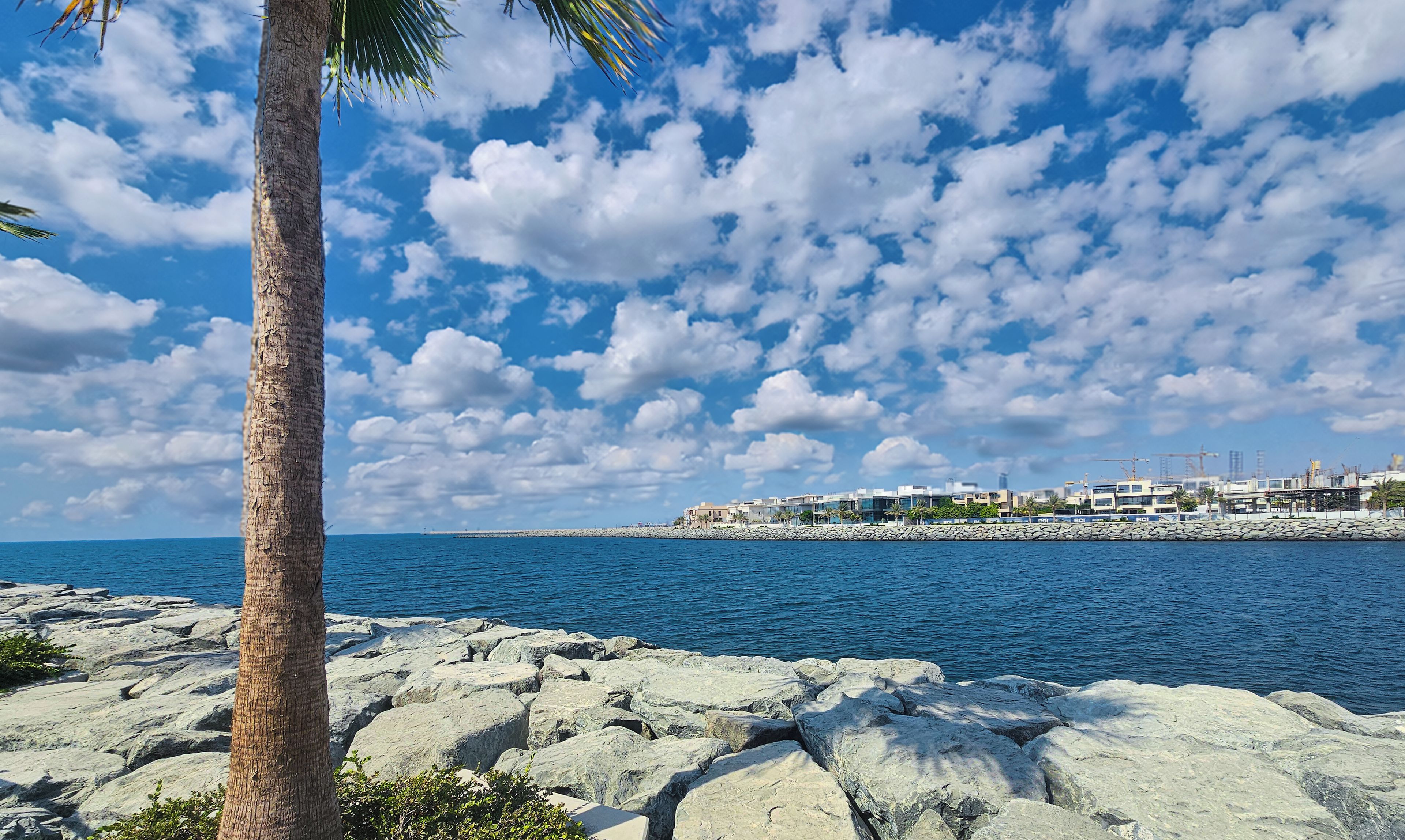Vue sur la plage/l’océan