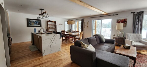 TV, fireplace, books, music library