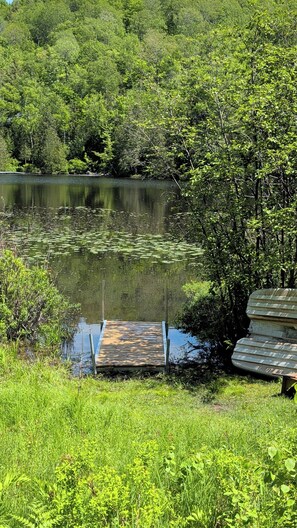 Un molo sul lago con una piattaforma in legno, immerso nel verde e alberi.