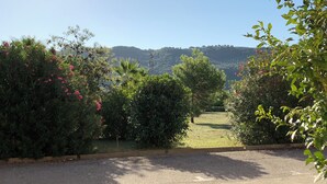 A paved driveway leading to a grassy area with dense shrubbery and flowering plants. - Large 2 bedroom apartment close to swimming pool and beaches (Contrada Difesa II)