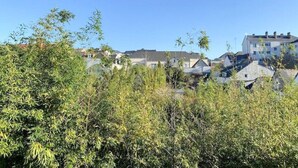 Ein Wohngebiet mit Häusern und üppigem Grün im Vordergrund.