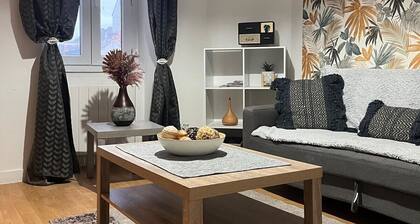 Apartment for 2/3 people - Ney District, Angers