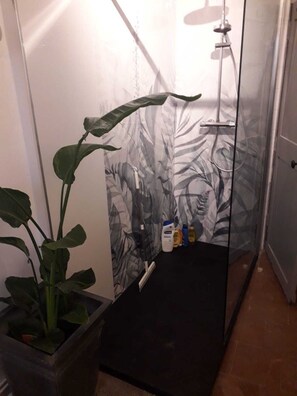 Ducha, secador de pelo, toallas, papel higiénico