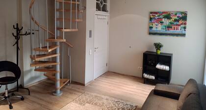 3-room 2 level family-/pet-friendly apartment in Riga with WiFi and parking