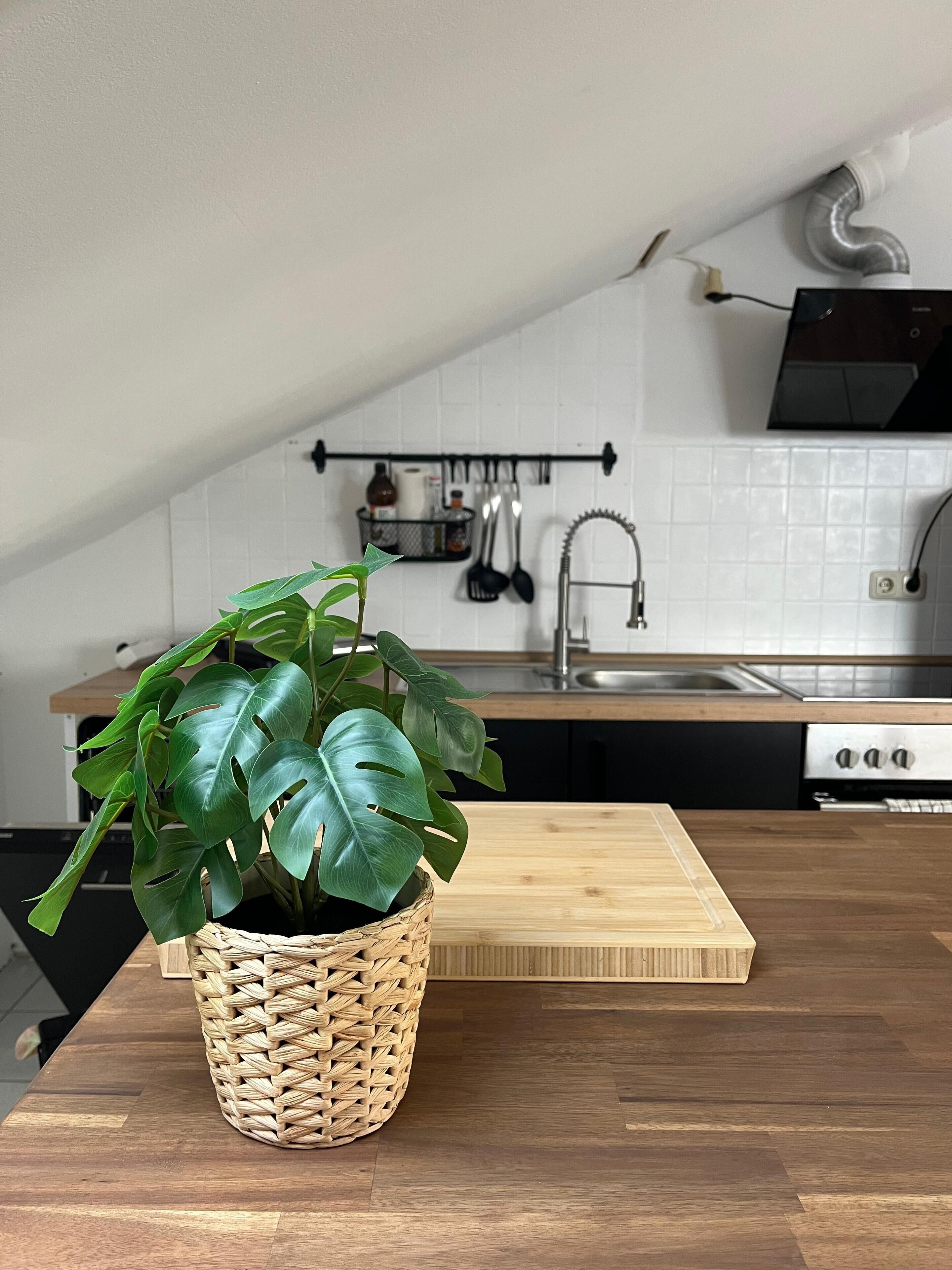 Kjøleskap, ovn, kokeplater og oppvaskmaskin