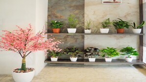 A hallway with a marble floor, a large artificial tree, and several potted plants on shelves. - Copper 11 Service Apartments -SB Road, Shivaji Nagar, Pune (Pune)