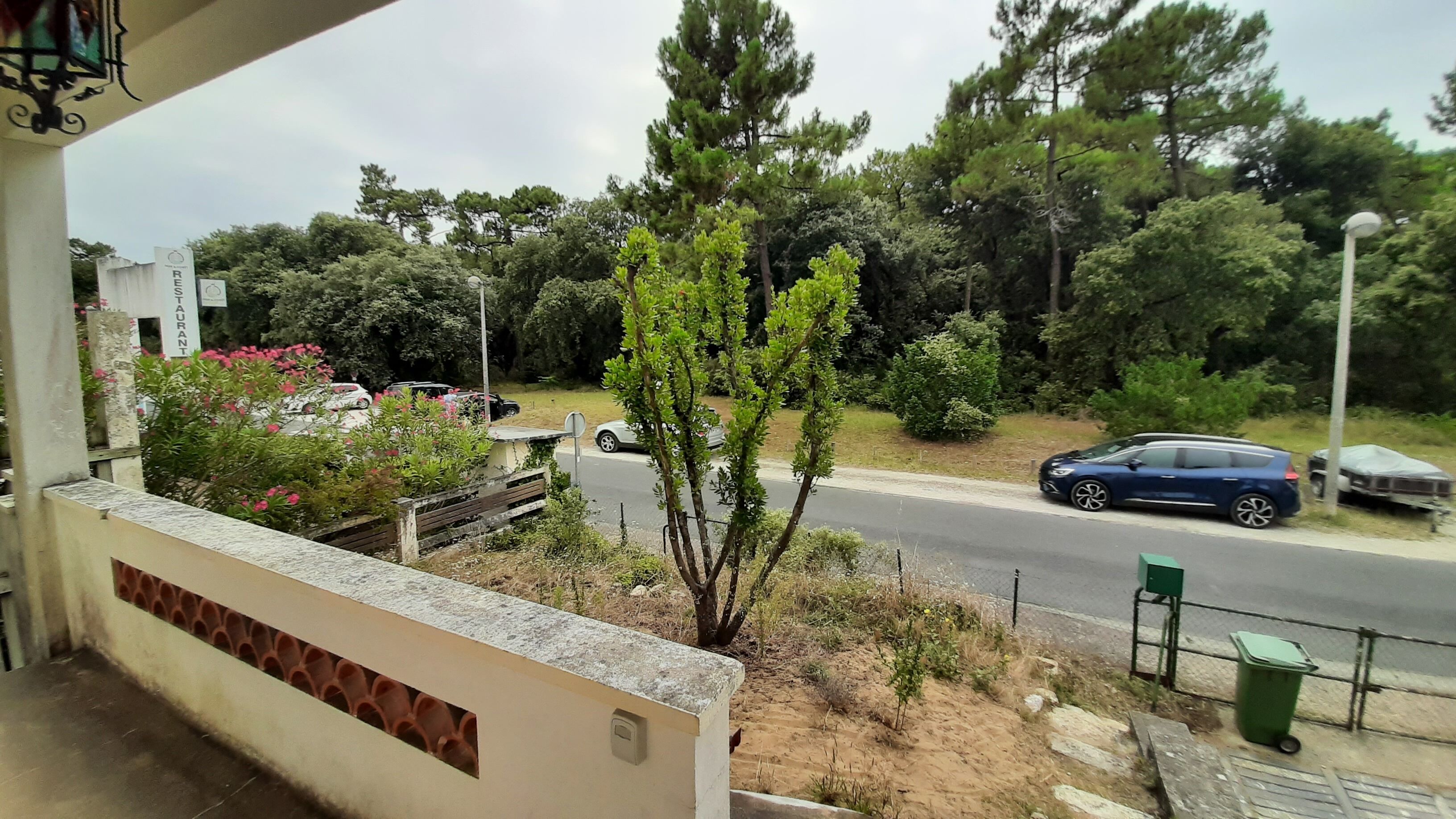 Uitzicht vanaf een balkon op een weg met geparkeerde auto's, een groene prullenbak en een kleine boom.