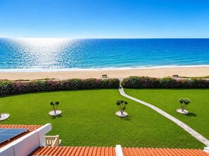 Blick auf einen Strand mit einem Pfad, kleinen Bäumen und einer Bank.