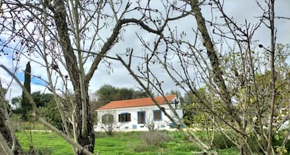 Country House Silves, Countryside, Beach and Tranquillity