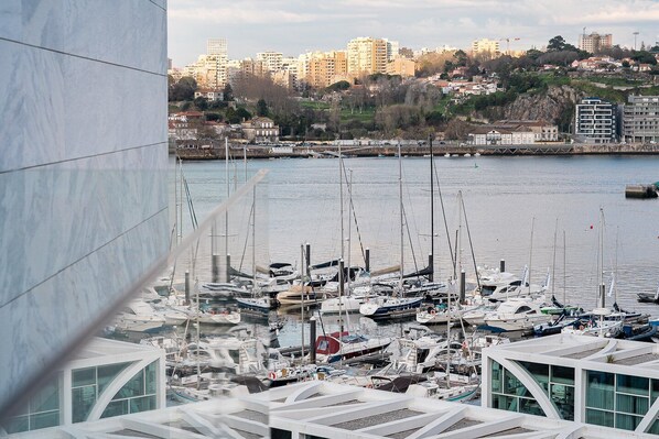 A marina with numerous boats docked, a cityscape in the background, and a modern building with large windows in the foreground.