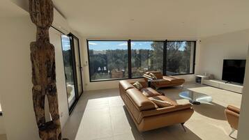 Televisie, een dvd-speler, een tafeltennistafel en een filmbibliotheek