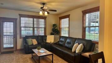 Smart TV, fireplace, books, computer monitors