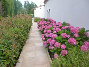 Property grounds - Villa 400m2, 6 bedrooms, 10 min walk to the beach (Argelès-sur-Mer)