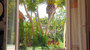 Vista desde una habitación con puerta corrediza de vidrio a un jardín tropical con palmeras y diversas plantas.