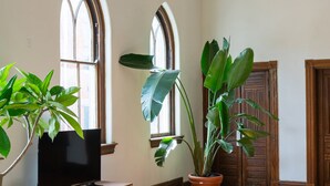 Um quarto amplo com piso de madeira, uma televisão de tela plana em um armário de madeira, duas janelas grandes com arcos e um vaso com planta.