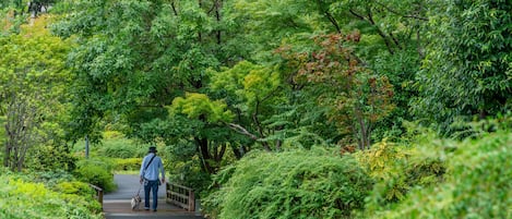 Jardines del alojamiento